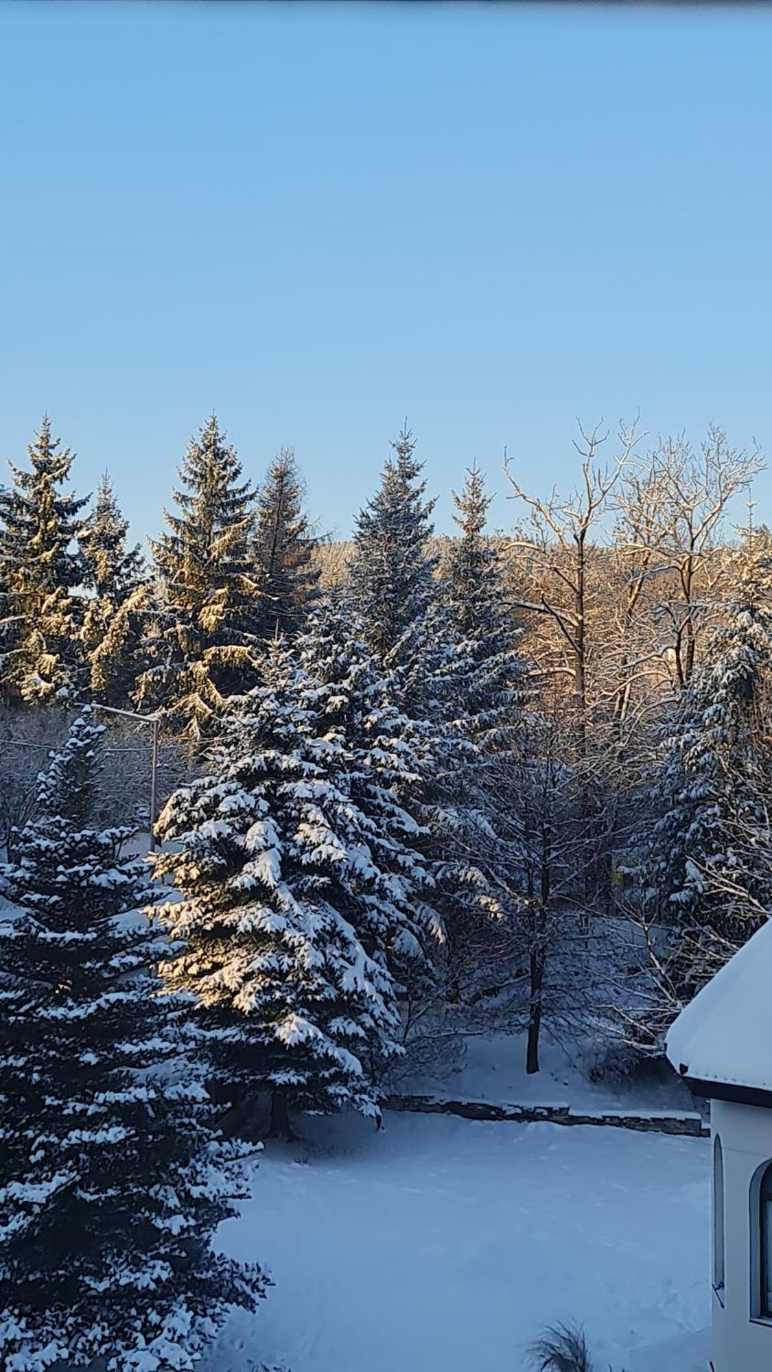Sieraton Pokoje i Apartament Stronie Śląskie Esterno foto