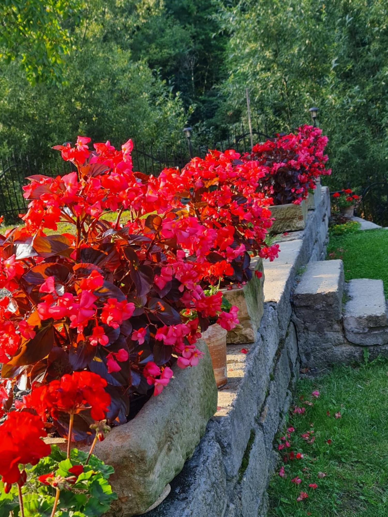 Sieraton Pokoje i Apartament Stronie Śląskie Esterno foto